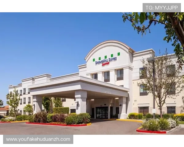 WilliamHill威廉希尔的支付方式多样化及快速提款流程介绍 WilliamHill威廉希尔的支付方式多样化及快速提款流程介绍